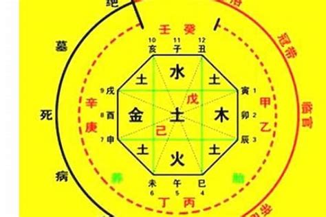 八字如何看|生辰八字算命、五行喜用神查询（免费测算）